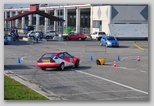 raci_966.jpg